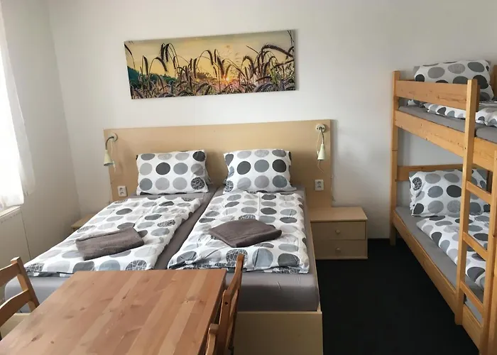 阿米尔卡宾馆 3* Třeboň